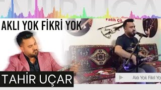 Tahir Uçar - Aklı Yok Fikri Yok (Canlı Performans) Resimi