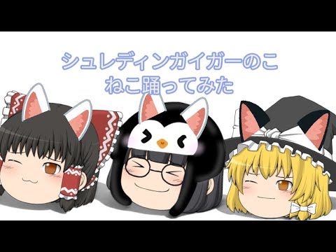 シュレディンガイガーのこねこMMD