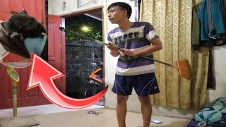 KODE ALAM KELELAWAR MASUK KOS | ANAK KOS