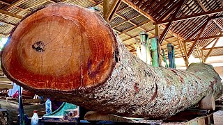 Carpenter's survival technique turns giant logs into amazing boats