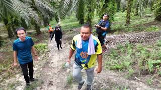 GOLDEN TIGER | NEW POSKO LKHHH | 26 AGUSTUS 2024