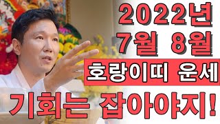 [ 2022년 7월 8월 호랑이띠 운세 ]  손내밀면 잡으세요! 기회는 잡아야지! 25세, 37세, 49세,…