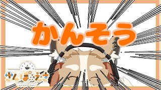 【雑談】42.195km完走した感想【#Vtuber #さんぽらいぶ】