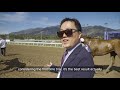KOREA TO CALIFORNIA: 불루치퍼 | BLUE CHIPPER'S BREEDERS' CUP JOURNEY