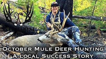 October Mule Deer Hunting: A local success story