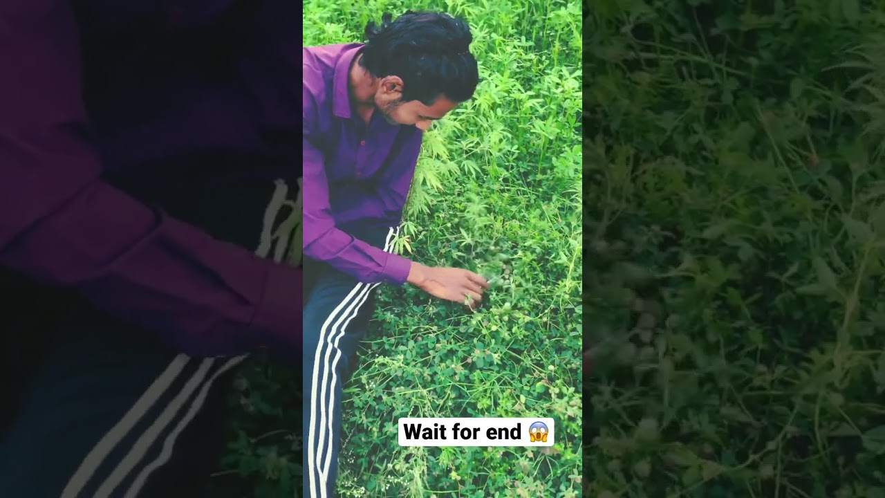 Wait for end 😱 || iPhone Display ka kamaal 😎 