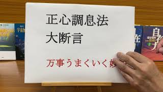 すべてが叶う！【１】塩谷式「正心調息法」「大断言」「大宣言」⇧字幕OK⇧