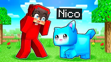 Nico Is Cash’s Cat In Minecraft!