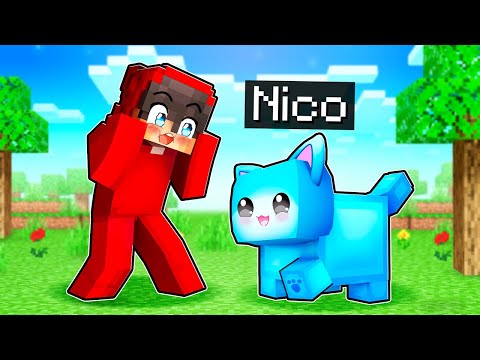 Nico Is Cash S Cat In Minecraft