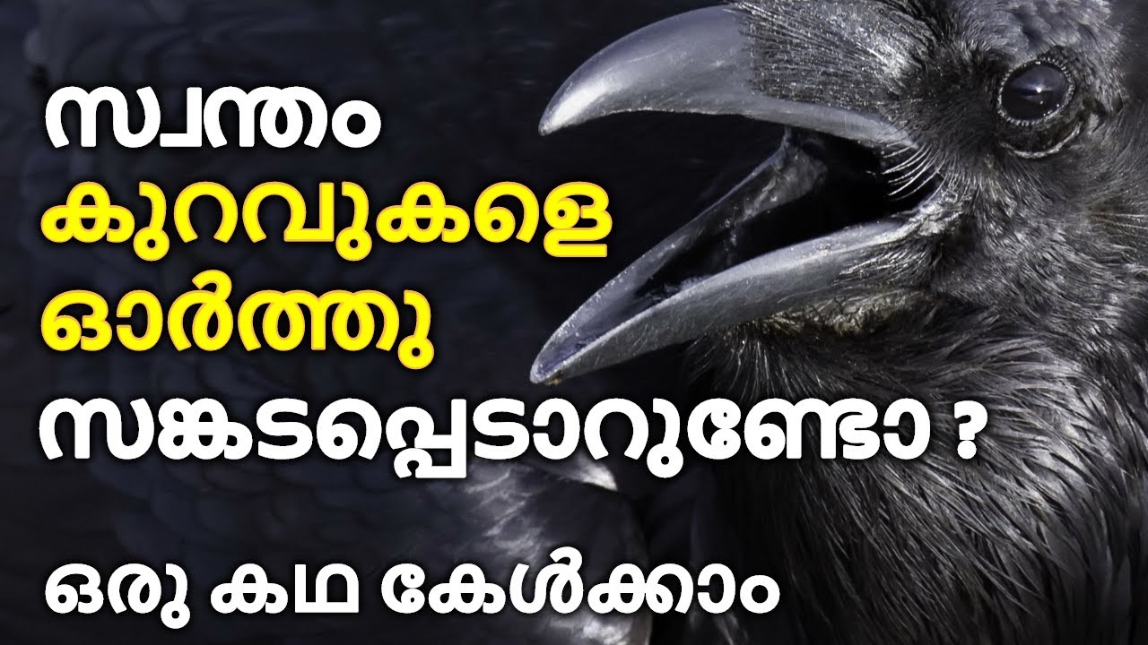 write essay on crow in malayalam