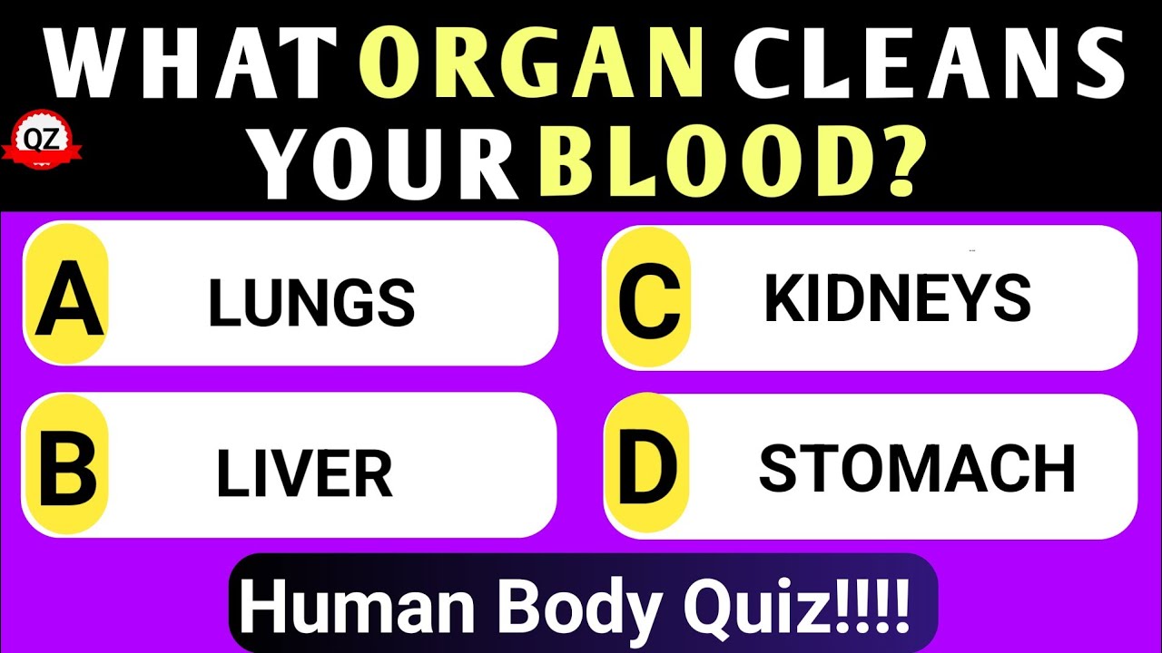 🧠 Can You Pass This Human Body Quiz? 🔓💪 22 General Knowledge Quiz Questions
