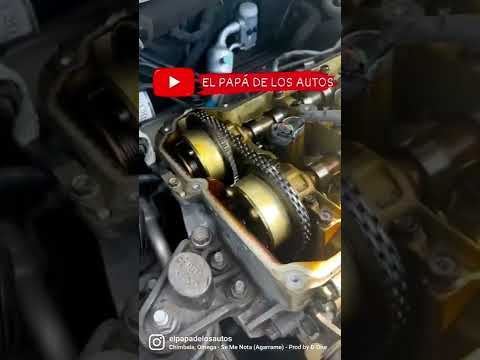 Esta cadena de