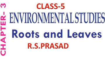 CLASS 5 ENVIRONMENTAL STUDIES ROOTS AND LEAVES