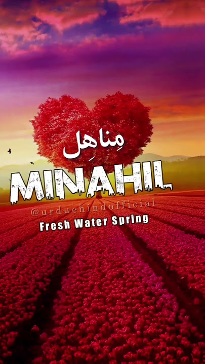 🌹Minahil🌹 | Name Meaning Status ||#urduehindofficial  #ytshorts #shorts #minahil