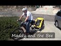 Burley Bee Ebike Trailer First Ride