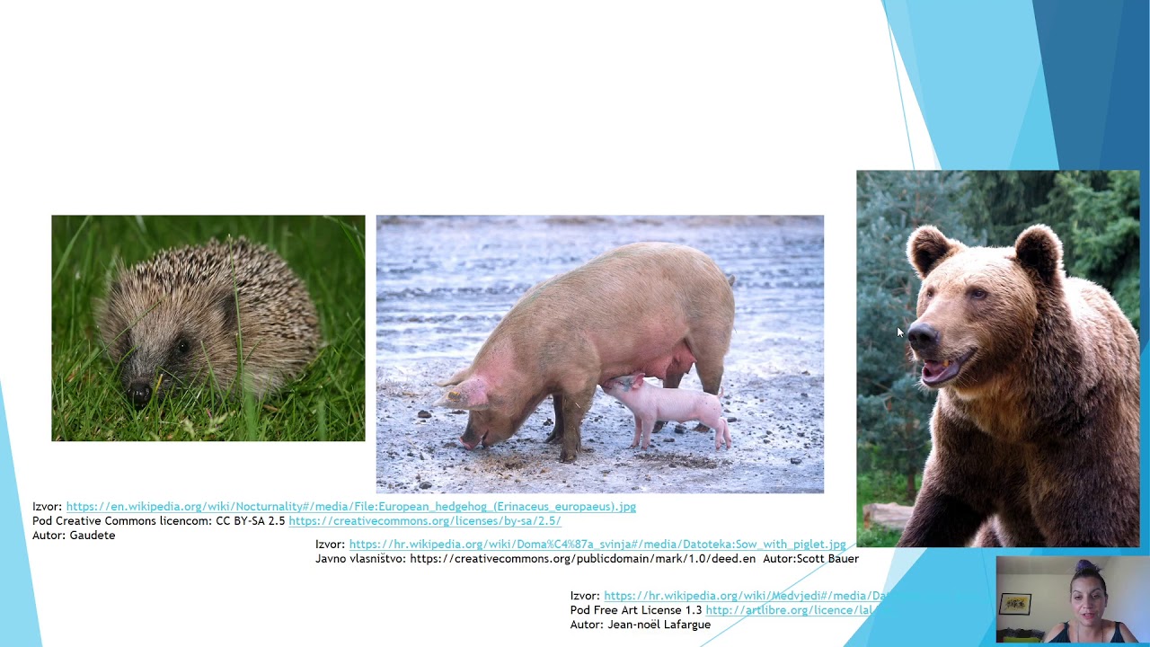 Abiotički čimbenici