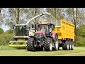 Claas Jaguar 950 &amp; Case IH Optum 300 cvx &amp; Puma 230 cvx &amp; MAN &amp; DEWA - Wilvagro bvba