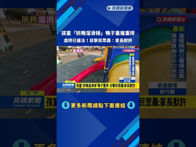孩童"抓鴨溜滑梯"鴨子重摔 目擊民眾轟:家長默許－民視台語新聞