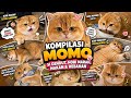 kompilasi Momo Si gendut, Hobi Marah, Makan dan Rebahan
