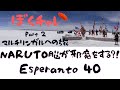 DuolingoでEsperanto #40 猿飛じゃなくてSaluton！忍びの様に先読みし過ぎて問題の意味取り違えて間違えたりNARUTO脳が邪魔をする？！