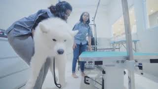 Pet Republic Petshop Jakarta