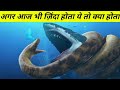 मौत का दूसरा नाम था ये जानवर biggest shark in history megalodon ,megalodon shark,sea animals