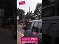 හදිසියේම අලියෙක් ආවනේ..