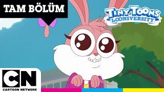 Mi̇ni̇k Kahramanlar Üni̇versi̇tesi̇ Fazla, Çok Fazla Tam Bölüm