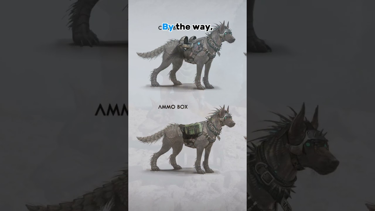 EVERYTHING to know about the Armadoggo in ARK : Survival Ascended !