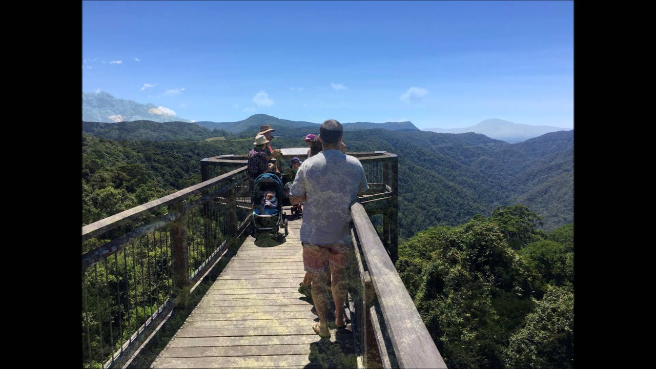 Dorrigo Rainforest Centre