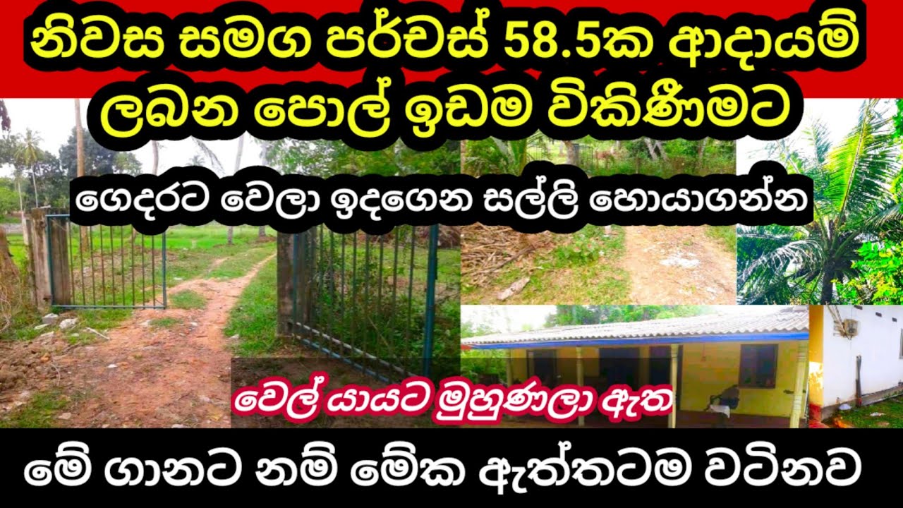 Low price land for sale Pol idam aduwata idam aduwata niwasa