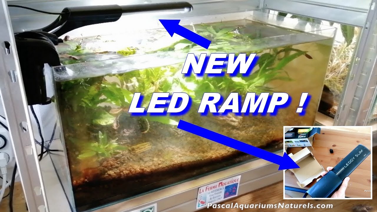 Nouvel éclairage lampe plante LED ! UNBOXING TEST rampe aquarium lowTech ! Pascal Aquariums Naturels