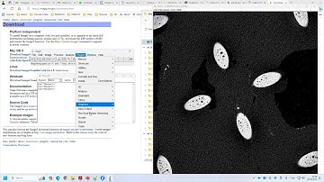 ImageJ - Macro - Recording and Batch Running for Sharpening and Non-Local Means