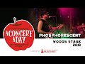 Capture de la vidéo Phosphorescent | Watch A Concert A Day #Withme #Stayhome #Discover #Rock #Live #Music