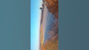 Trees are the real shit - FPV Freestyle