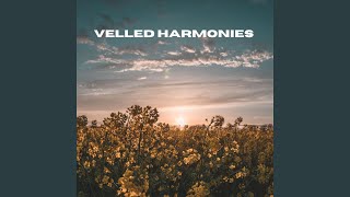 Veiled Harmonies (Loopable, No Fade)