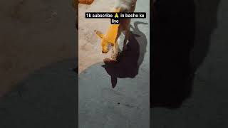 pls 🙏 subscribe like and share in bancho ke liye #subscribe #youtubevideo #shorts #tranding