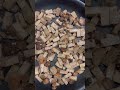 Champignons farcis à l’ail et aux fines herbes, tofu grillé et panisse, PARTIE 2 🫶