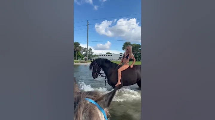 Swim with horses!