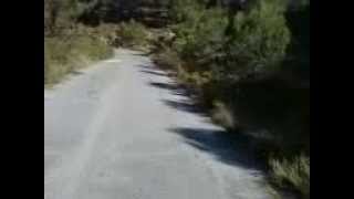 antiguo ragudo 1