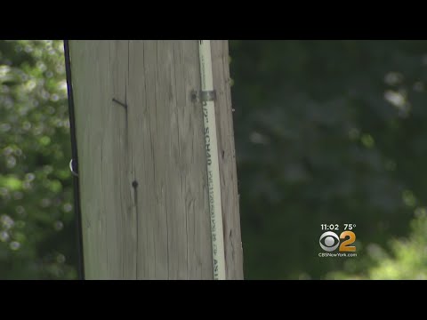 Video: Apakah wayar eruv?