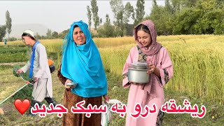 مادرجان و عروسش امروز آمدند کمک من، رشقه درو با ماشین، چطور است عزیزان!؟