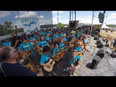 Bluegrass Academy for Kids - Grey Fox 2017