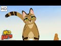 African Savannah Adventure Quiz