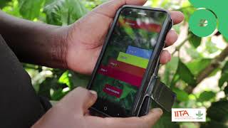 IITA Stepwise  mobile application showcase video screenshot 1