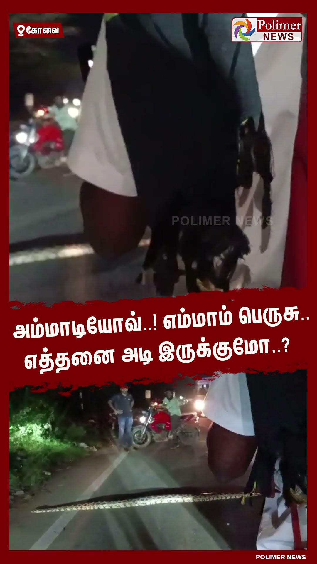 அம்மாடியோவ்..! எம்மாம் பெருசு.. எத்தனை அடி இருக்குமோ..? #shorts | #snake