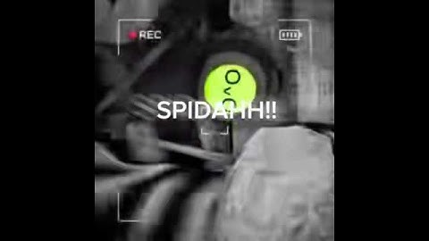 Meeting the Snailmen in Content Warning