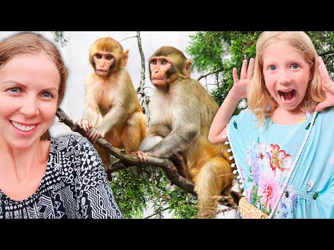 Family Box Vlog Новые Серии 2022 Года Family Box Vlog Новые Серии 2022 Года