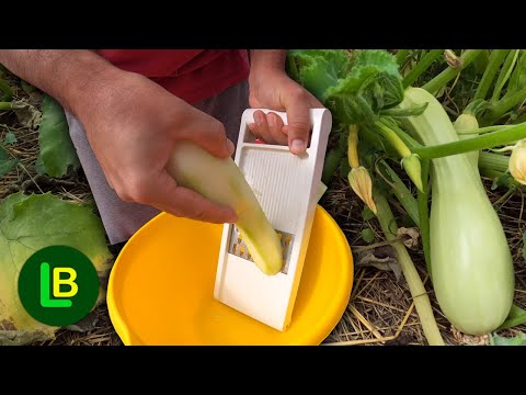 Video: Koje Povrće Se Može Zamrznuti I čuvati