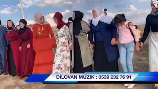 Havin ile Yahya Van’ı salladı olay video DİLOVAN MÜZIK